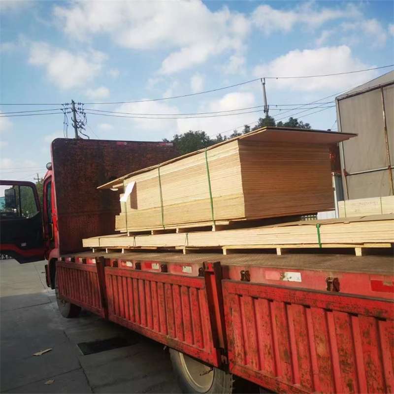福建泉州金门县至塔城货运专线，一站式物流服务助您成功
